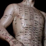 רפואה סינית - יעל פיינר