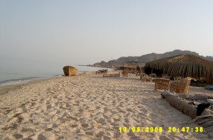 חיים אינסטנט