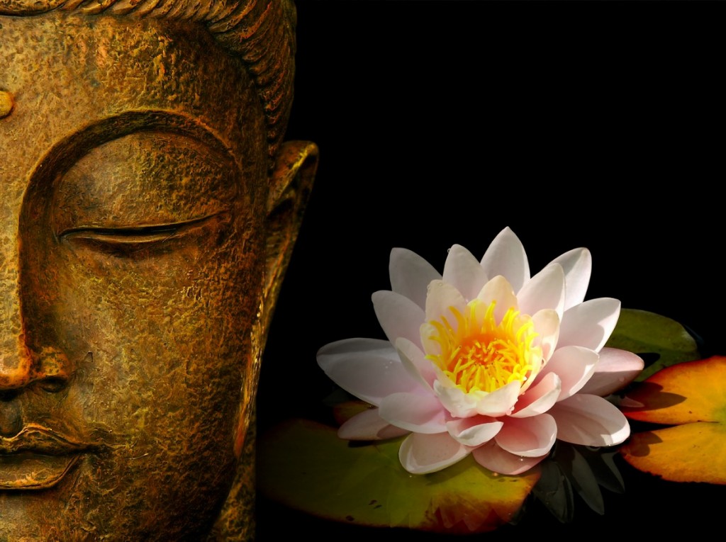 buddha-wallpapers-photos-pictures-h2o-lily